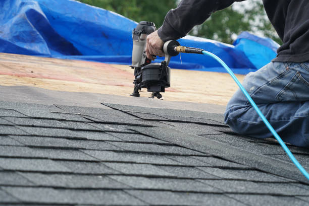 Best Flat Roof Repair Services  in Plains, KS
